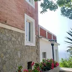 Pino 3*