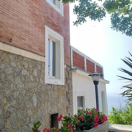 Pino 3*